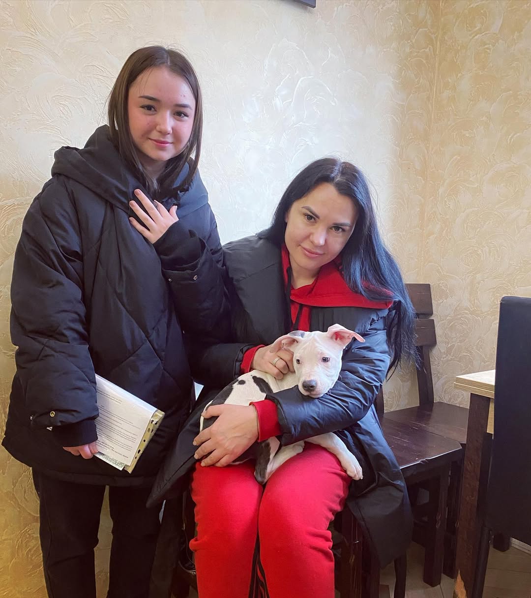 Happy Staffie family