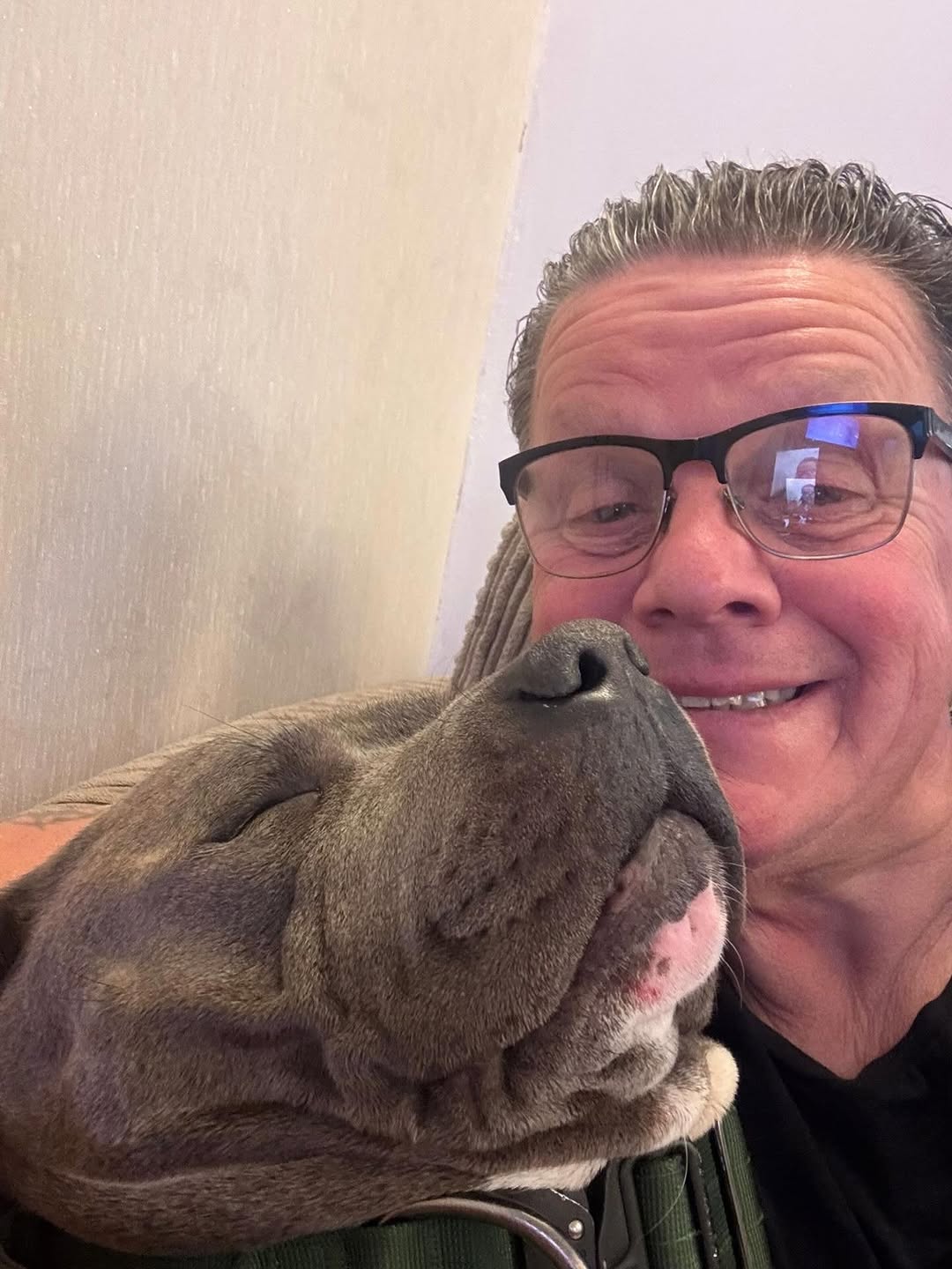 Happy Staffie family