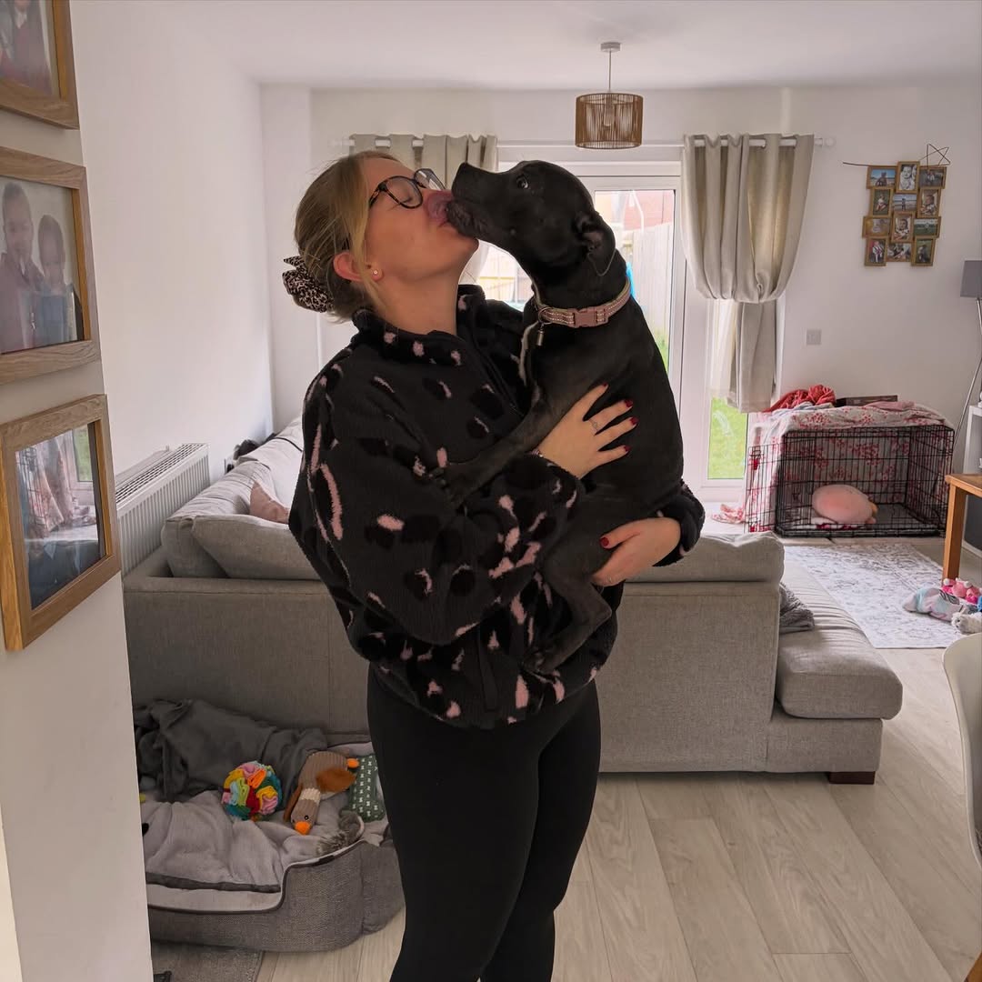 Happy Staffie family