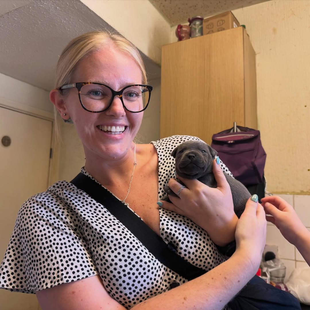 Happy Staffie family